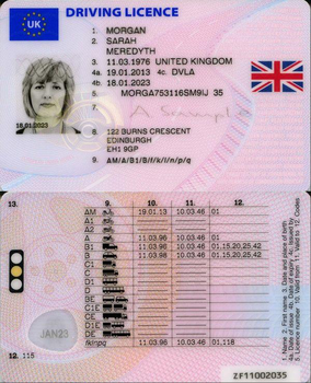 image of full uk driving licence