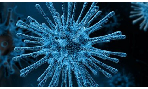 image of coronavirus