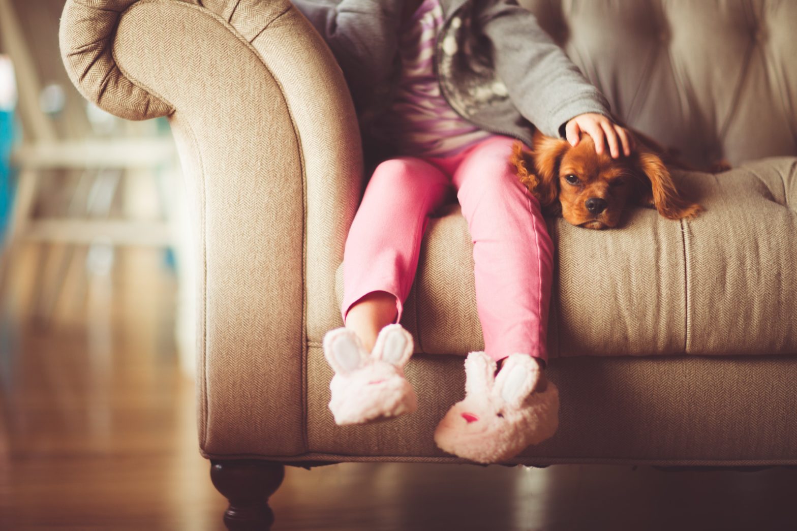 image of a girl sitting on a sofa with a dog