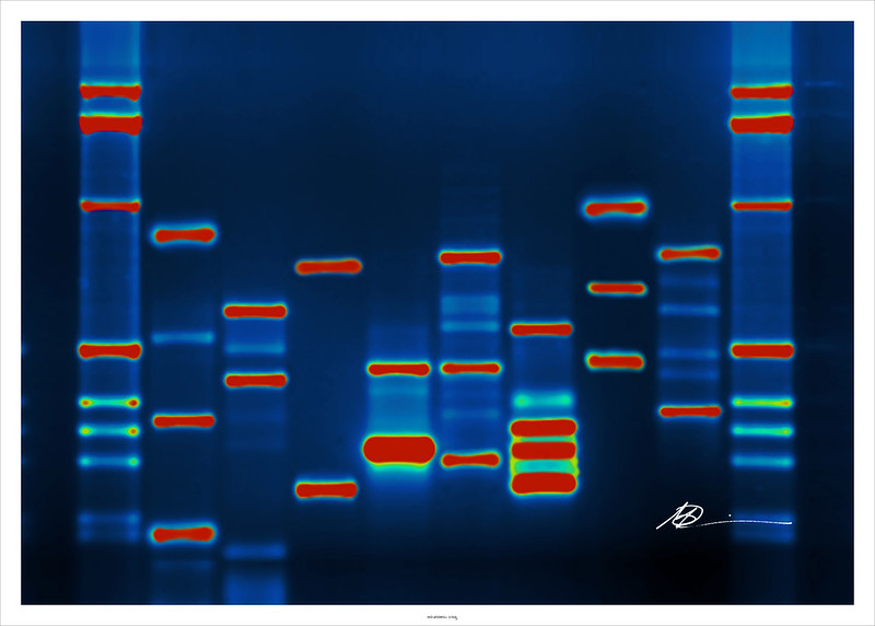 image of heatmap colours in rows