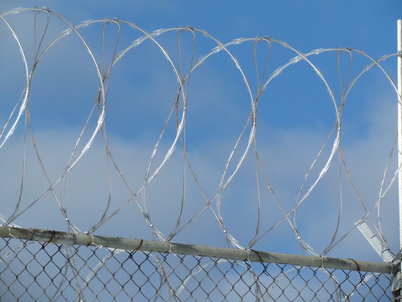 Image of barbed wire fence