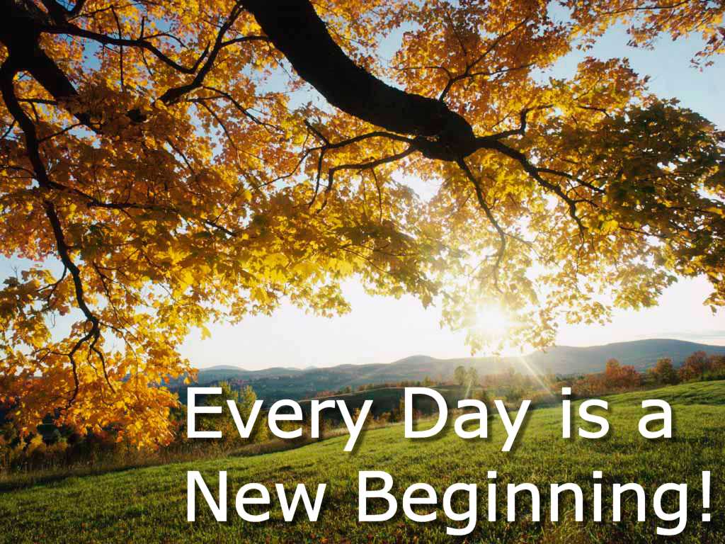 image of an autumn tree with the text 'everyday is a new beginning' written over the image